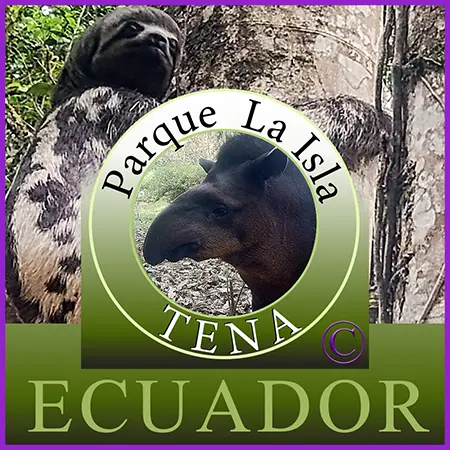 Attractions in Tena Ecuador .... Amazon Tours ... Parque La Isla ..Aventuras Amazonicas