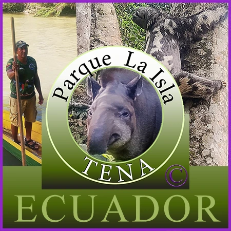 Tours y Aventuras en Tena Ecuador - Amazon Animals Tours ..
Amazonas-Tours en Tena Ecuador